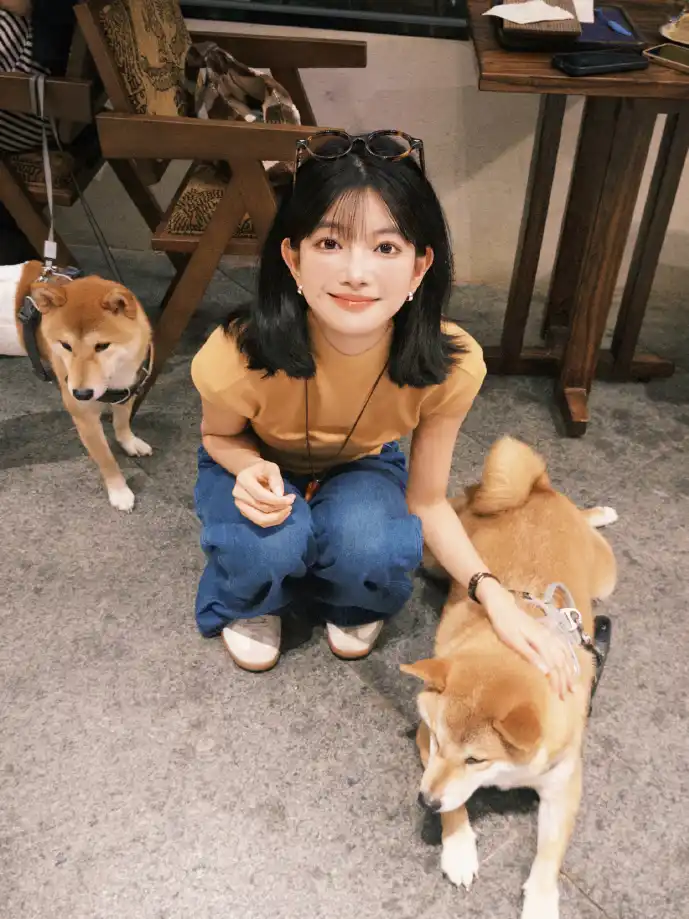 手游下载数据分析